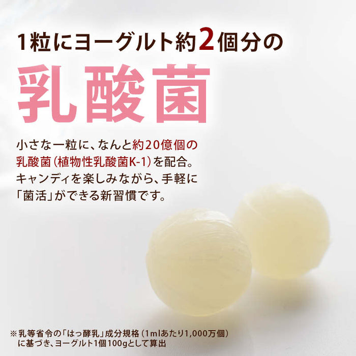 前田家 北海道 ヨーグルト飴 140g/300g/450g 個包装 乳酸菌 20億個 ヨーグルト 北海道産 キャンディ あめ 飴 健康 お菓子 おやつ 子供 菌活 プチギフト 大容量 メール便 送料無料 MAEDAYA