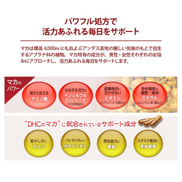 DHC ディーエイチシー マカ 1袋 20日分（60粒） サプリメント 栄養機能食品 合わせ買い