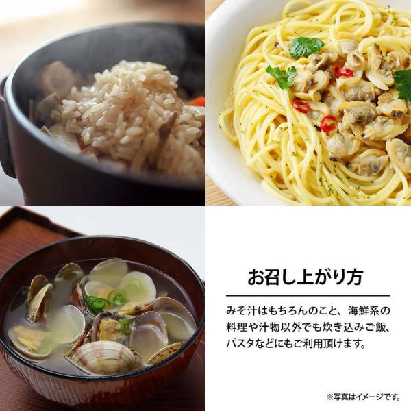 あさりだしの素 100g あさり だしの素 顆粒 アサリだし 出汁 鯏 味噌汁 みそ汁 ラーメン 酒蒸し うどん 業務用 お徳用