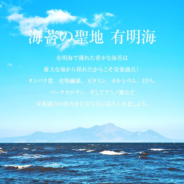 味付けのり 400枚（5枚x80袋） 焼きのり 味のり 海苔 国産 有明海 有明産 小分け おつまみ ご飯 おにぎり 弁当 徳用 お得 朝食 送料無料