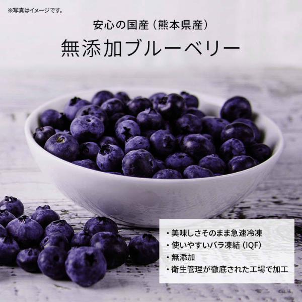 国産 熊本県産 ブルーベリー 冷凍 1kg(1000g)/袋 無添加 アントシアニン 食物繊維 果物 冷凍フルーツ トッピング ジャム スムージー お徳用 業務用