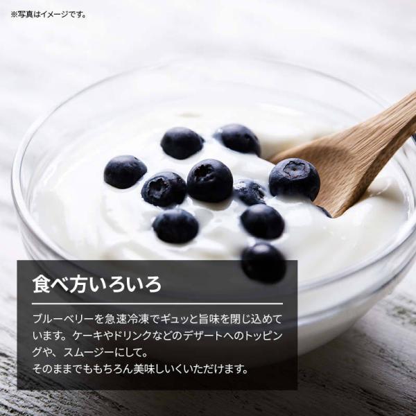 国産 熊本県産 ブルーベリー 冷凍 1kg(1000g)/袋 無添加 アントシアニン 食物繊維 果物 冷凍フルーツ トッピング ジャム スムージー お徳用 業務用