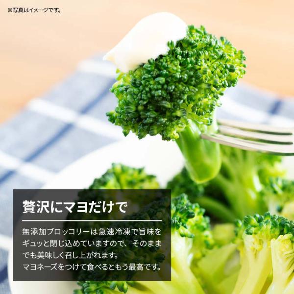 国産 九州産 ブロッコリー 冷凍 550g x 2袋 カット ばらバラ ぶろっこりー 緑黄色野菜 冷凍野菜 カット野菜 時短 弁当 簡単 便利 美容 お徳用 業務用