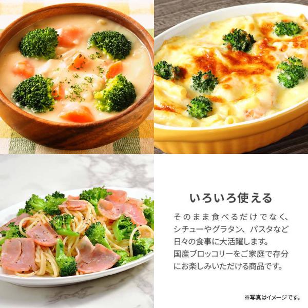 国産 九州産 ブロッコリー 冷凍 550g x 2袋 カット ばらバラ ぶろっこりー 緑黄色野菜 冷凍野菜 カット野菜 時短 弁当 簡単 便利 美容 お徳用 業務用