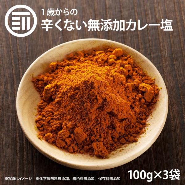 Non-spicy additive-free curry salt 100gx3 bags 