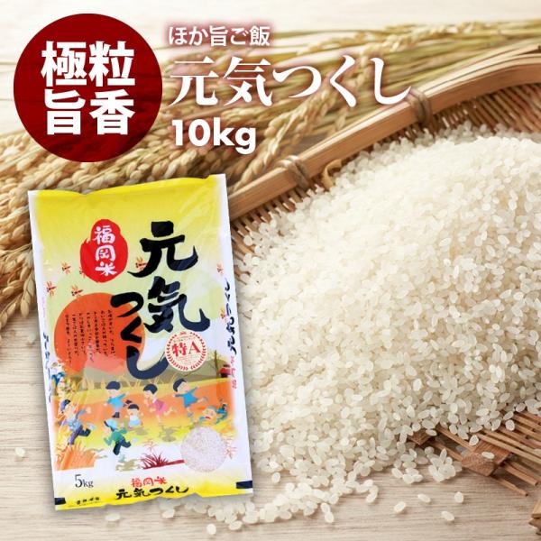 無洗米 プロが選ぶ一等 米 食味ランク 特A 元気つくし 10kg 精米 福岡県産