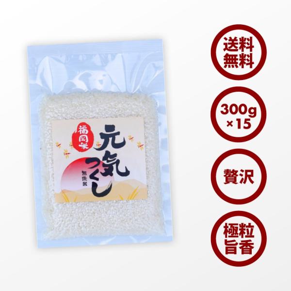無洗米 プロが選ぶ一等 米 食味ランク 特A 元気つくし 2合 15パック 精米 福岡県産