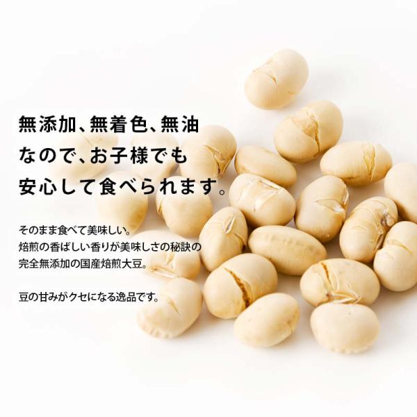 国産 煎り大豆 100g 無添加 無着色 無塩 無油 北海道産 自然食品 節分 イソフラボン 丸ごと