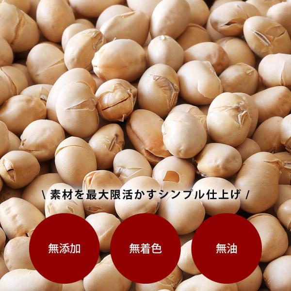 国産 煎り大豆 100g 無添加 無着色 無塩 無油 北海道産 自然食品 節分 イソフラボン 丸ごと