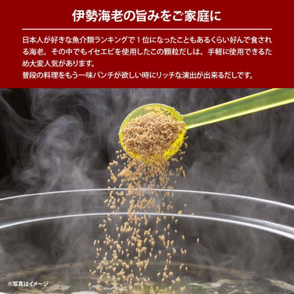 伊勢海老だしの素 100g 伊勢海老 だしの素 顆粒 伊勢エビだし 出汁 味噌汁 みそ汁 スープ 炒め物 業務用 家庭用 お徳用