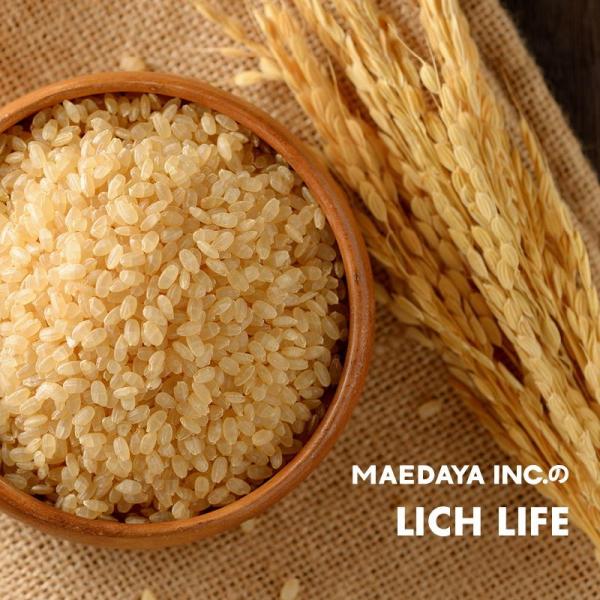 無洗米 プロが選ぶ厳選一等 米 食味ランク 特A 森のくまさん 2合 10パック 精米 熊本県産