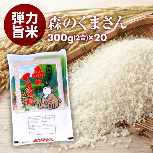 無洗米 プロが選ぶ厳選一等 米 食味ランク 特A 森のくまさん 2合 20パック 精米 熊本県産