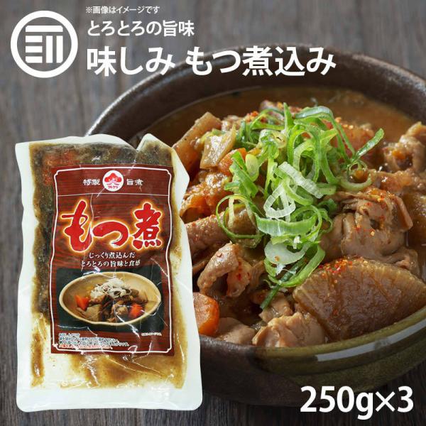 九州の味 とろとろ もつ煮込み 250gx3パック 国内製造 モツ煮 ホルモン 煮込み料理 レトルト 惣菜 煮物 おかず 常温 食品 おつまみ 酒の肴 非常食 お徳用 業務用