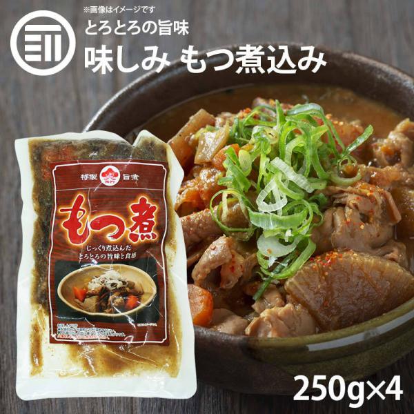 九州の味 とろとろ もつ煮込み 250gx4パック 国内製造 モツ煮 ホルモン 煮込み料理 レトルト 惣菜 煮物 おかず 常温 食品 おつまみ 酒の肴 非常食 お徳用 業務用