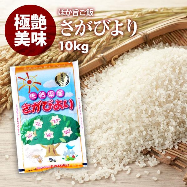 無洗米 プロが選ぶ厳選一等 米 食味ランク 特A さがびより 10kg 精米 佐賀県産