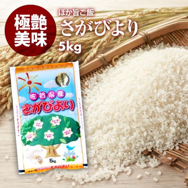 無洗米 プロが選ぶ厳選一等 米 食味ランク 特A さがびより 5kg 精米 佐賀県産