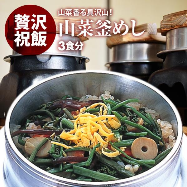 山菜 釜飯 の具 3人前 水を使わず即席で美味しい 早炊き米 ・ 具 入り 釜めし の素 セット 料亭の味 炊き込みご飯 日本製 国産