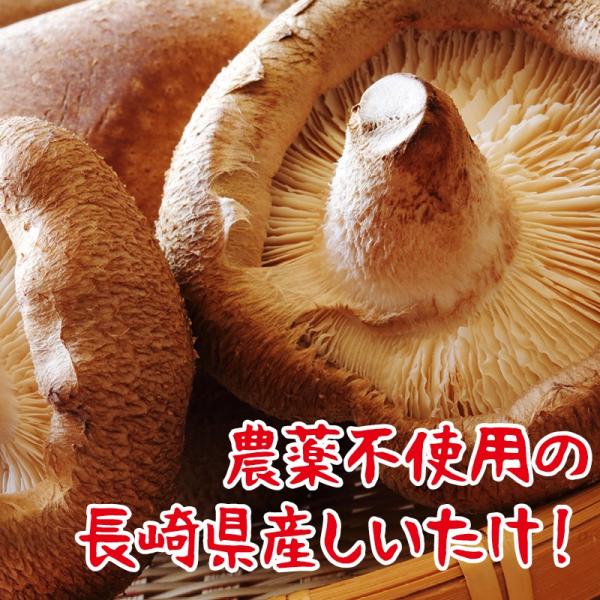 国産 椎茸パウダー しいたけ 微粉末 お徳用 300g100g×3 無農薬 無添加 椎茸 粉末 出汁 かくし味 味噌汁 ダシ うどん そば 天ぷら チャーハン パスタ