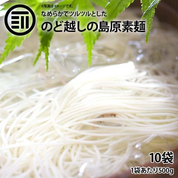 島原素麺 10kg （50g 20束 10箱） 島原そうめん 10袋（50g×100束入） 長崎 名産 国内製造 小麦 佐賀 特産