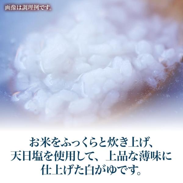 国産 優しい おかゆ 無添加 お粥 1袋（250g） レトルト 白がゆ 天日塩 使用 ポイント消化