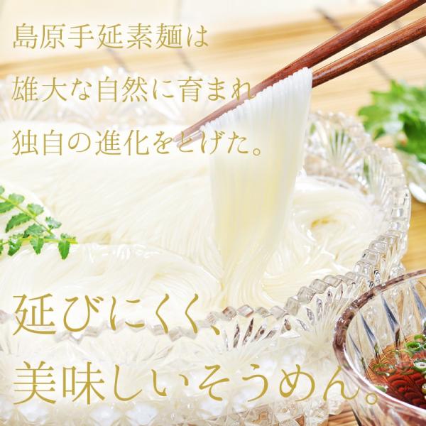 無添加 伝統 島原手延そうめん 1kg（50g×20束）素麺 強力粉 天然塩 使用 にゅうめん チャンプル にも ポイント消化 [Richi Life]